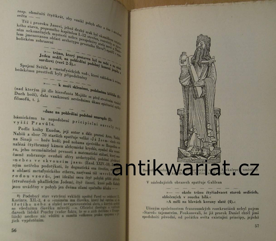 1wa Image00445