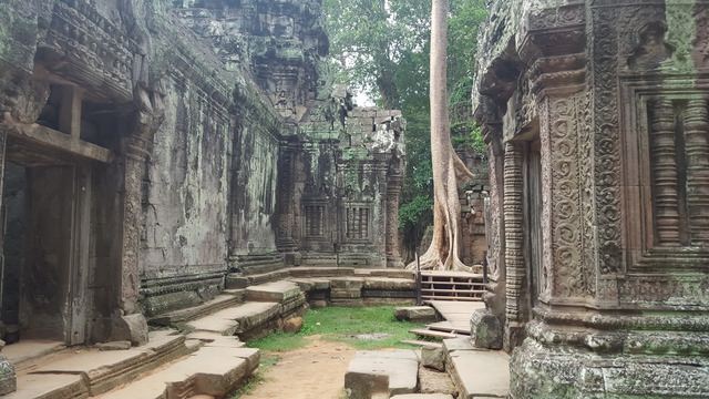 Tailandia y Camboya 2015, el viaje soñado - Blogs de Tailandia - Siem Reap, Camboya (9)