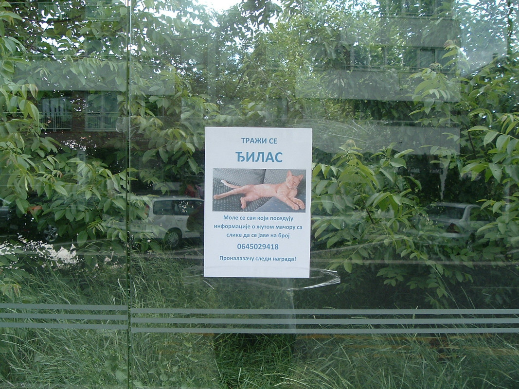 Slika