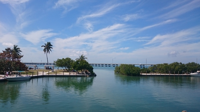 Ruta por Florida (2016): 18 días - Blogs de USA - Key West, playas Cayos y vuelta a Miami (12)
