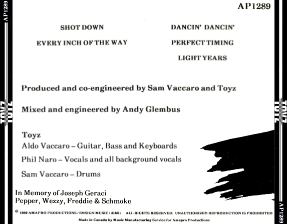 http://s15.postimg.cc/fu9bck657/Toyz_Toyz_Back.jpg