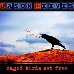 Jason Reeves - Caged Birds Set Free (2011).mp3 - 128 Kbps