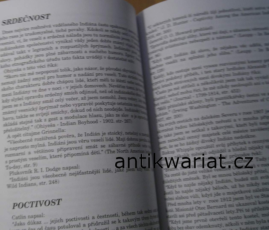 1wa Image00381
