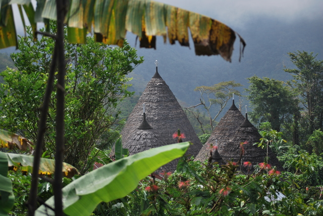 Descubriendo Indonesia en 20 días - Blogs de Indonesia - Flores: El” Jurassic Park” Indonesio (14)