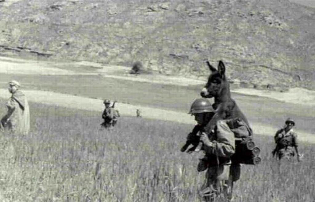 Un soldado aliado carga a sus espaldas a un burro de las Donkey Corps para que no pise una mina en 1943, durante la invasión de Sicilia en la Segunda Guerra Mundial