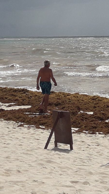 Algas en las playas de Riviera Maya (Sargazo) - Foro Riviera Maya y Caribe Mexicano
