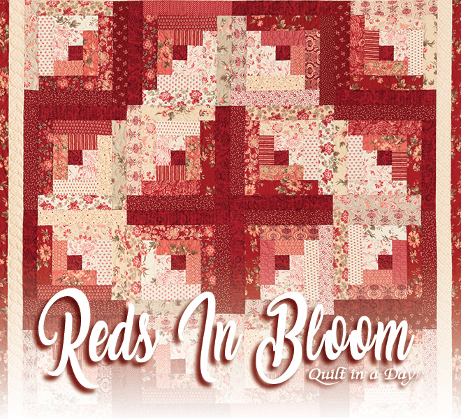 Quilt in a Day: Log Cabin Pattern