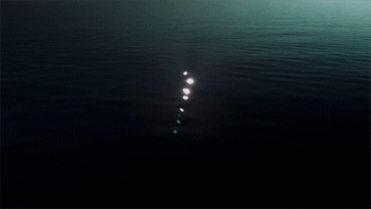 gif.gif