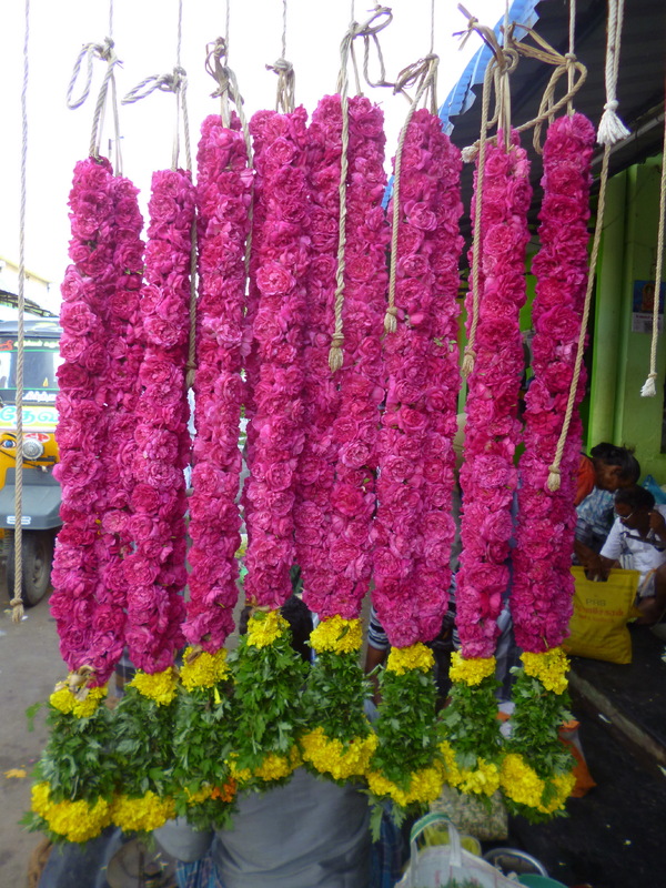 Los Colores del Sur de India - Blogs de India - Camino de Trichy o Thiruchirapally. (3)