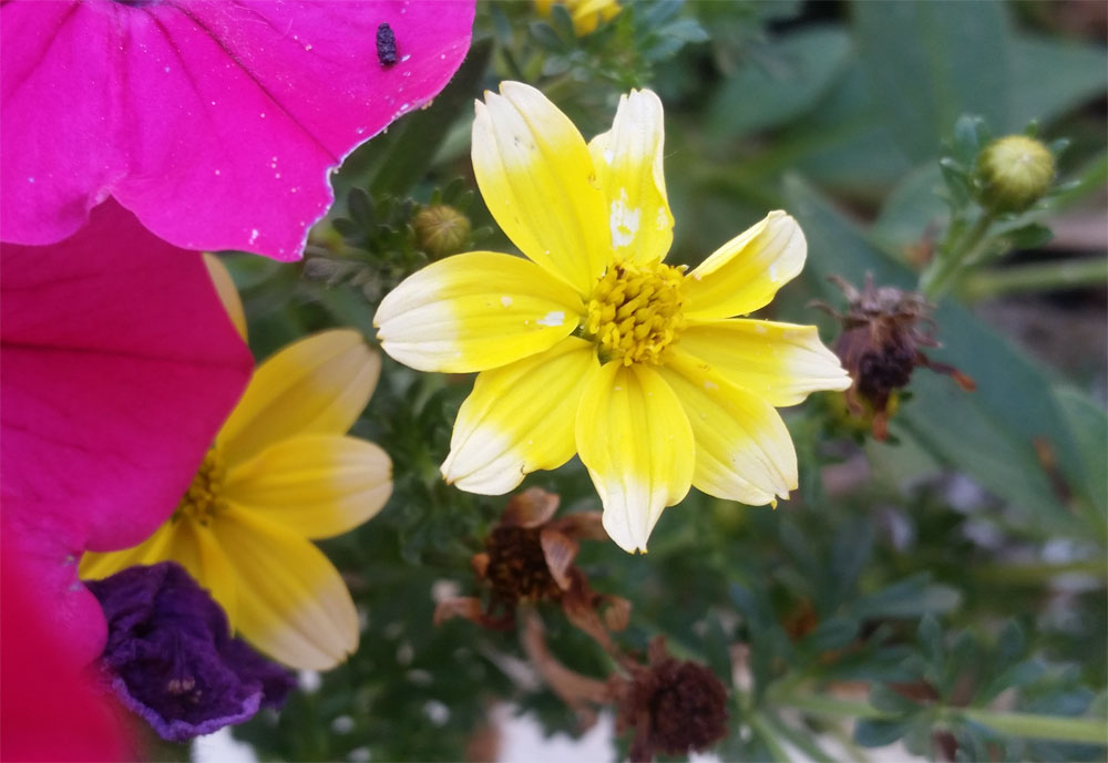 [Image: y20180812_131847.jpg]
