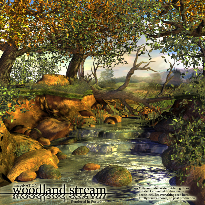 IN Woodland Stream