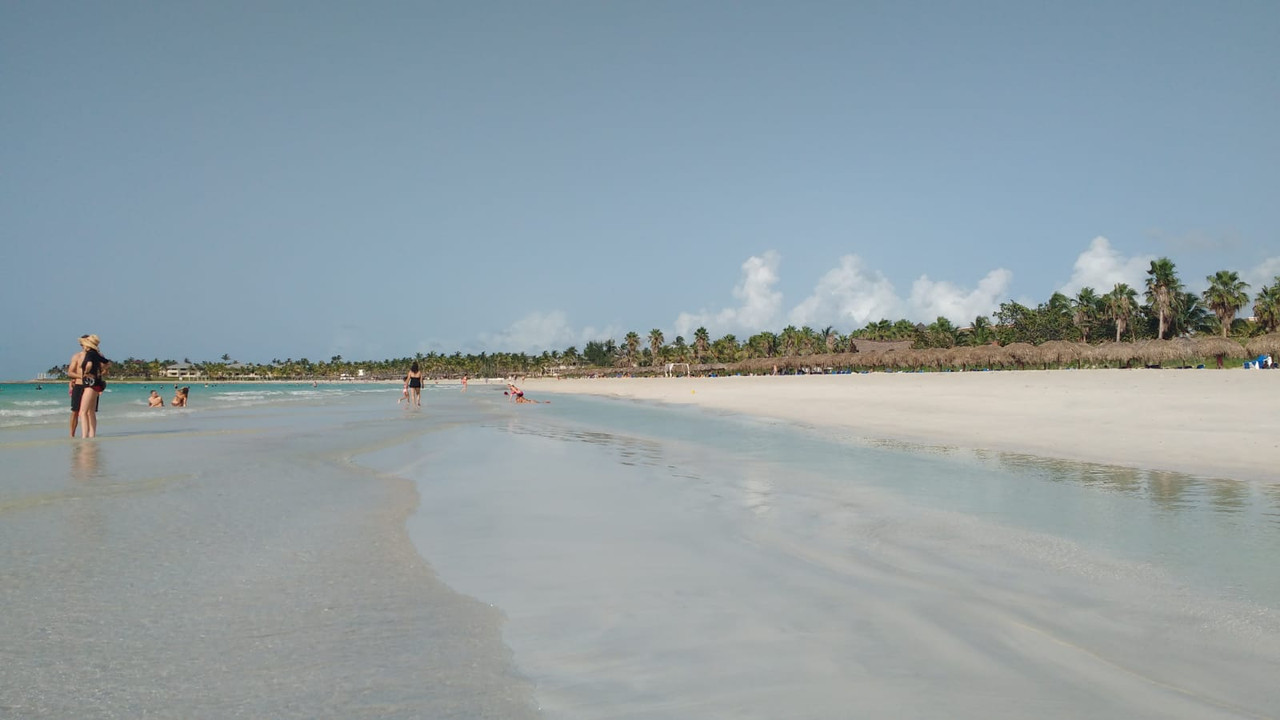 Algas en las playas de Cuba (Sargazo) - Forum Caribbean: Cuba, Jamaica