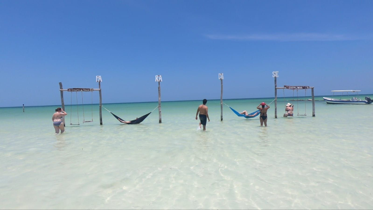Isla Holbox- Nadar con tiburón ballena, excursiones - Foro Riviera Maya y Caribe Mexicano