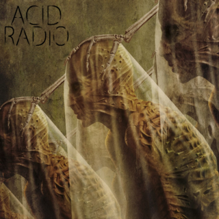 Acid Radio - Acid Radio (2018).mp3 - 320 Kbps