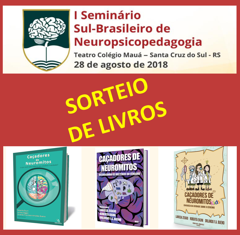 Ana Lucia Hennemann - Neuropsicopedagoga Clínica: Jogos e