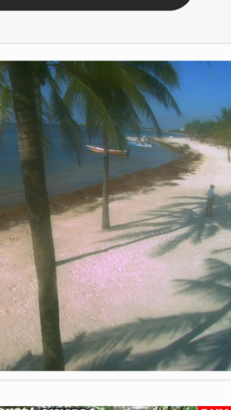 Playa Akumal - Excursión en Riviera Maya - Foro Riviera Maya y Caribe Mexicano