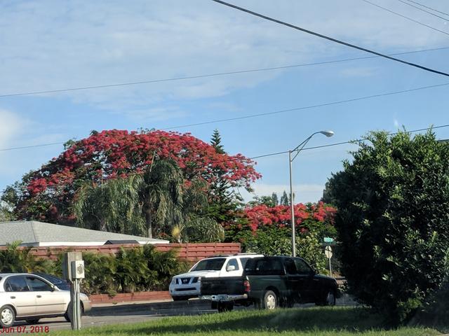 [Image: IMG_20180607_085324.jpg]