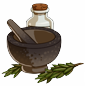 herbs.png