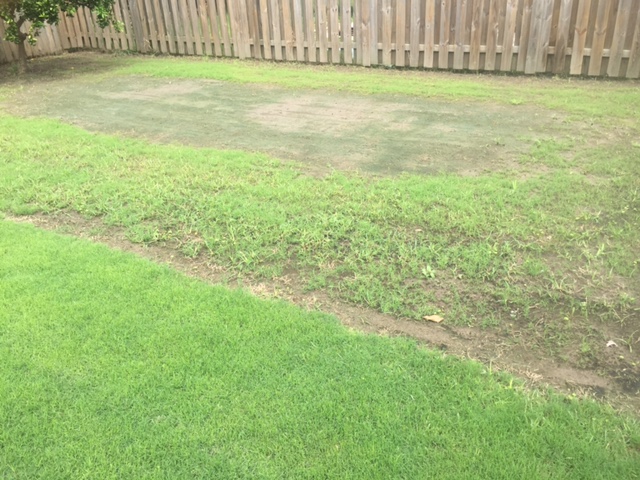 Nothing Grows After Removing Above Ground Pool The Lawn Forum