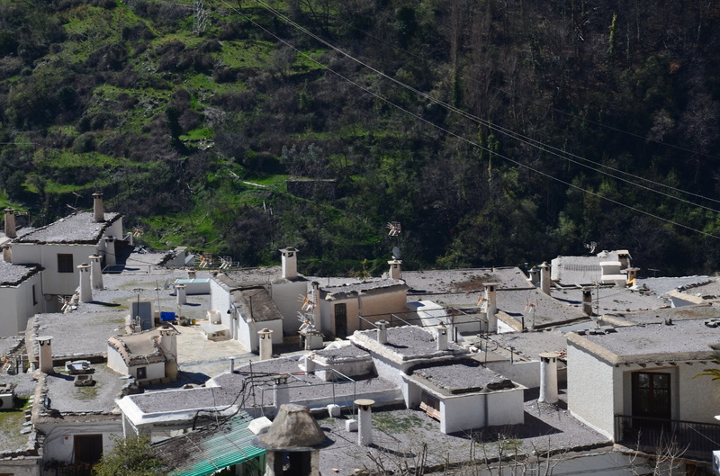PAMPANEIRA-10-3-2017-GRANADA - Los pueblos más bonitos de España-2010/2023 (46)