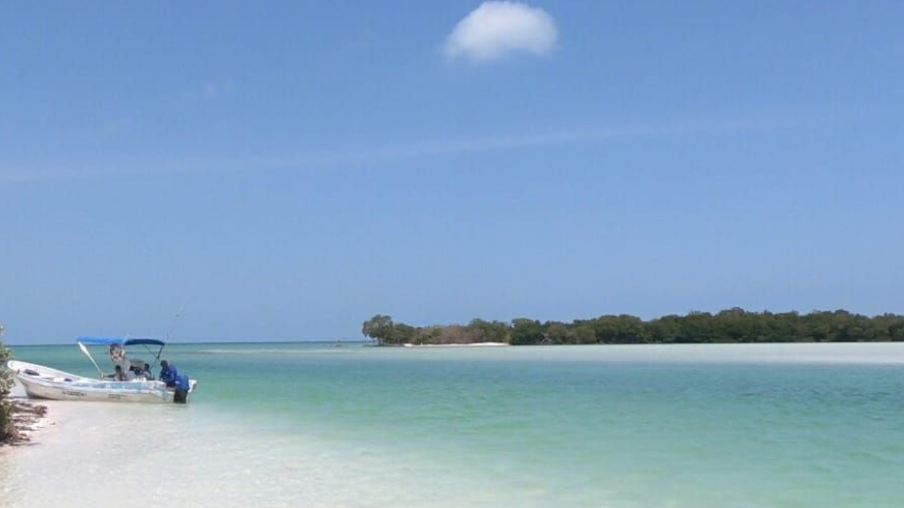 Isla Holbox: Playas, Restaurantes. Riviera Maya - Foro Riviera Maya y Caribe Mexicano