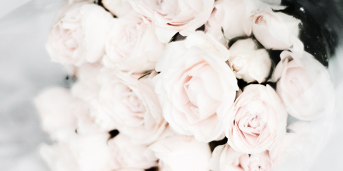 white-flowers-tumblr-02.png