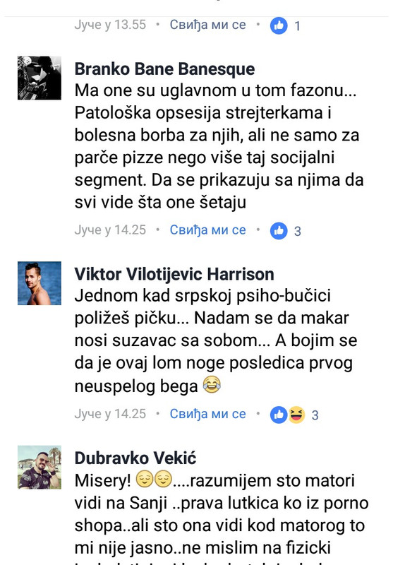 Slika