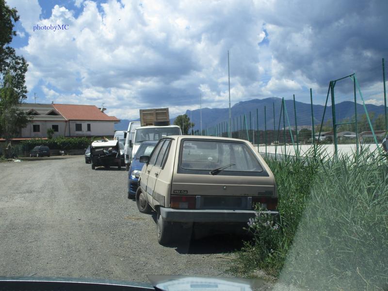 IMG_0064.jpg
