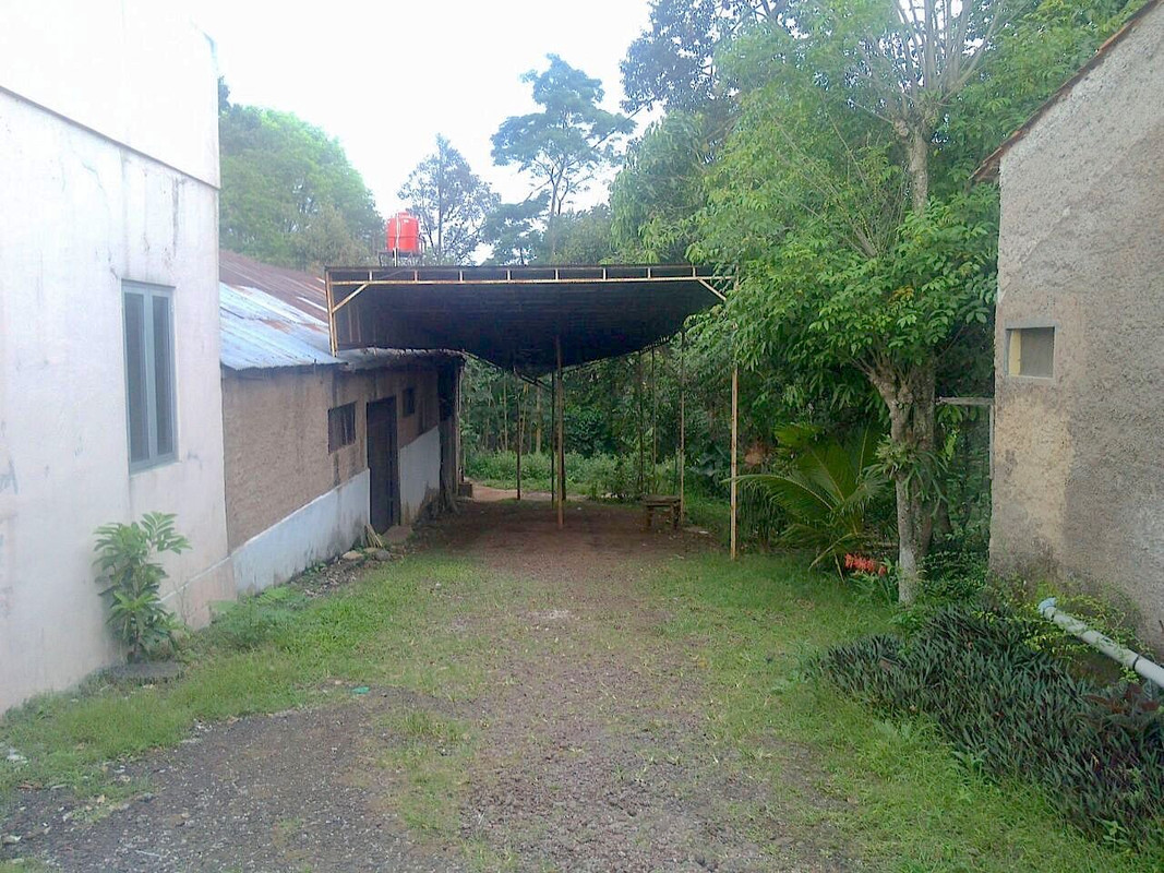 1530261841_7109052.jpg