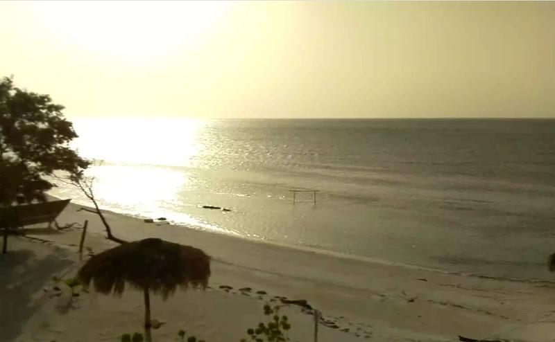 Playas sin Sargazo (algas) en República Dominicana - Forum Punta Cana and the Dominican Republic