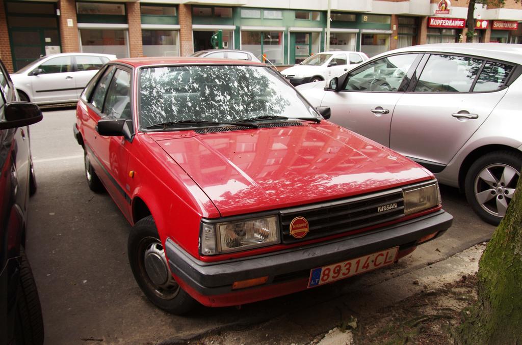 IMGP7015.jpg