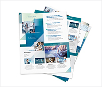 IT – Software Company Print Bundle - 3