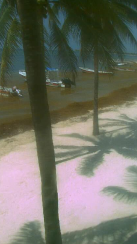 Playa Akumal - Excursión en Riviera Maya - Foro Riviera Maya y Caribe Mexicano