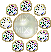bouton_gif