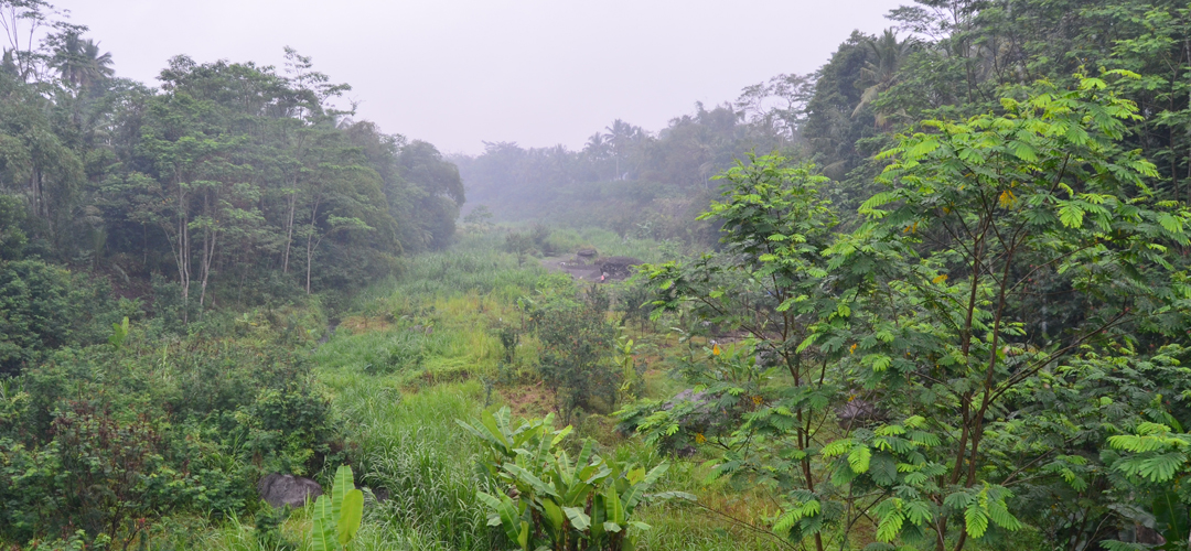 Pemandangan Alam