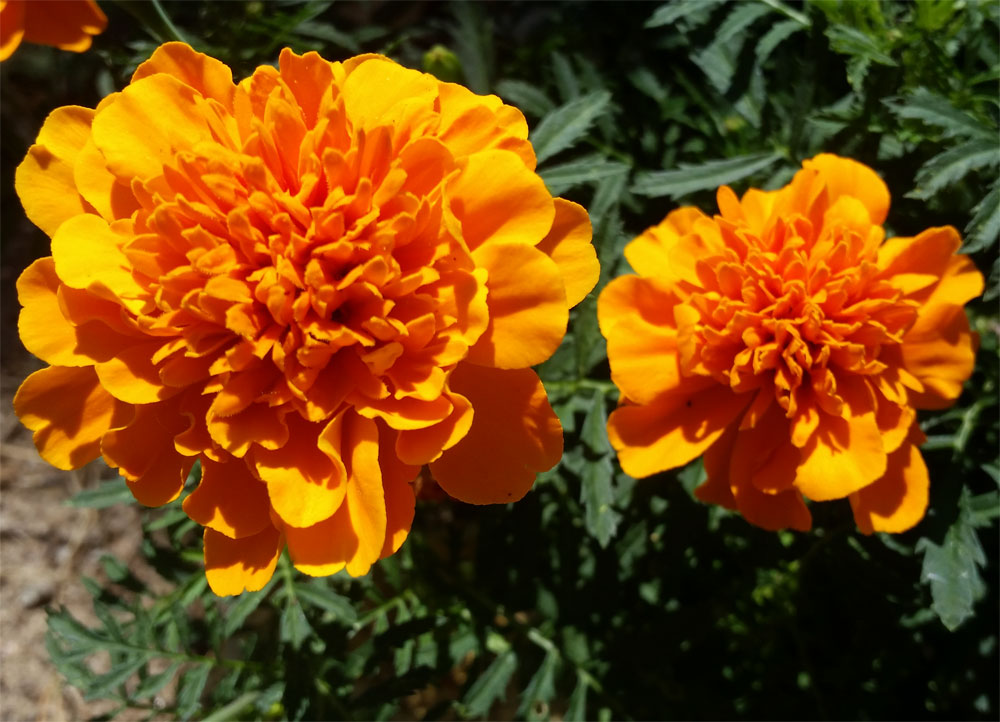 [Image: y20180822_132958.jpg]