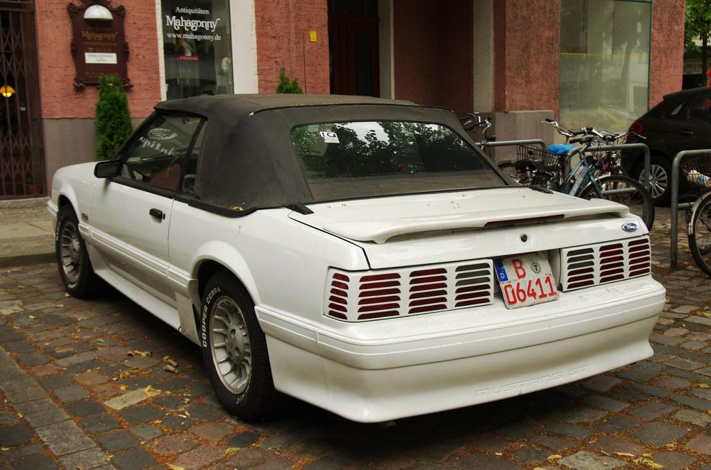 IMGP7028.jpg