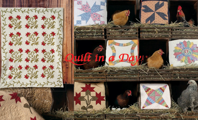 Egg Money Quilts Book 2nd Edition 735272010920 Quilt In A Day