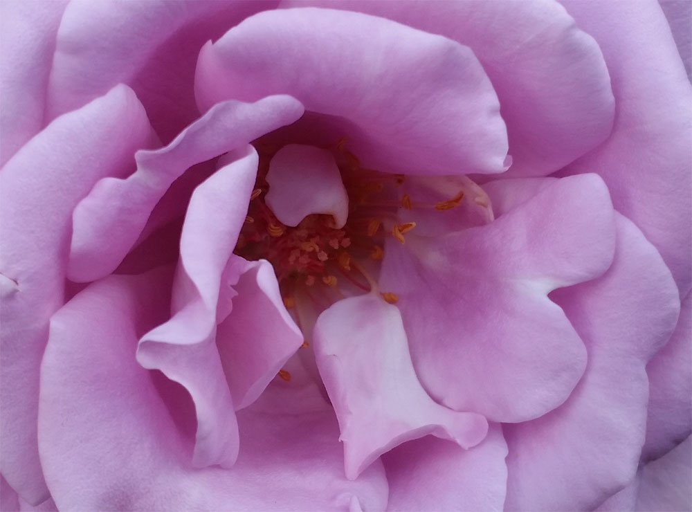 [Image: y20180914_180224.jpg]