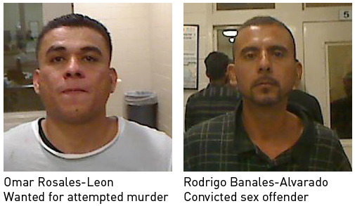 U.S. Border Patrol Arrests Sex Offender and Attempted Murder Suspect over the Weekend in California...