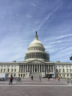 Washington DC: visita general - 2170 km por el Este de los USA (10)