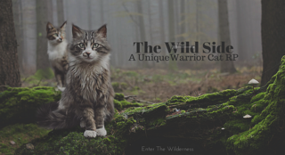 thewildside_by_tinykiing-dbivst8.png