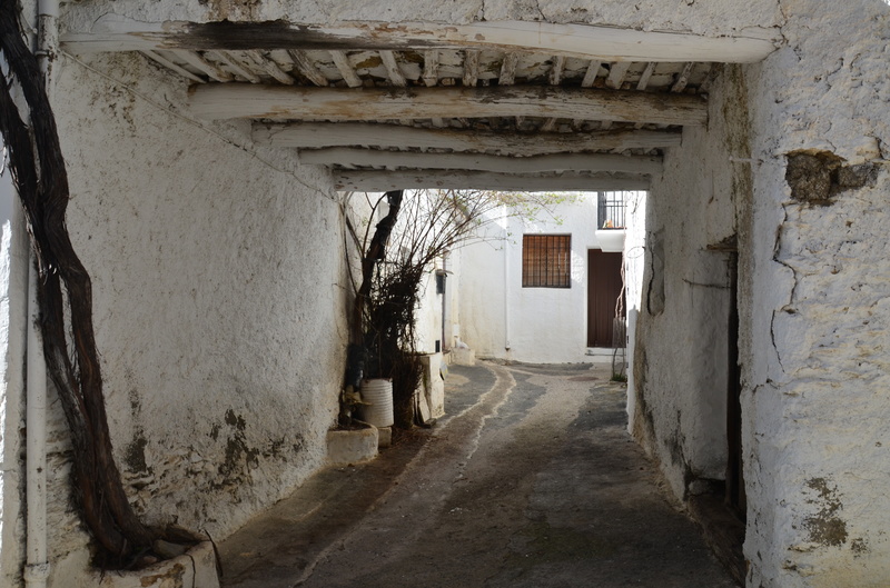 CAPILEIRA-10-3-2017-GRANADA - Los pueblos más bonitos de España-2010/2023 (9)