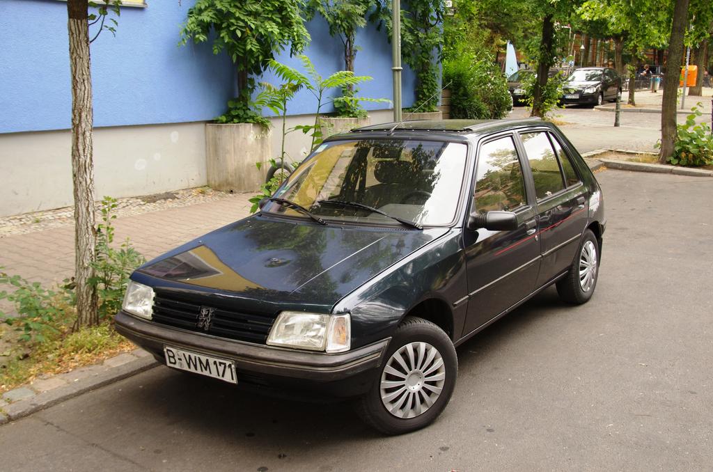 IMGP7005.jpg