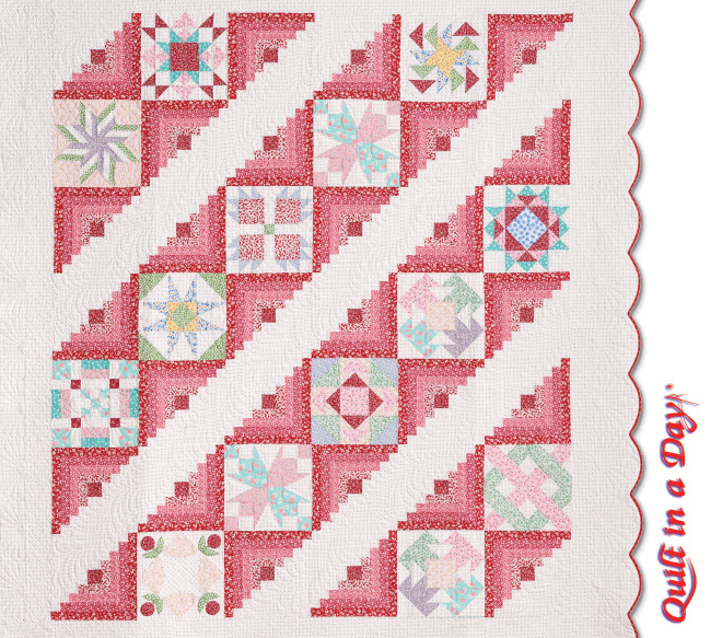 Forty Fabulous Years With Eleanor Burns 735272010937 Quilt In A