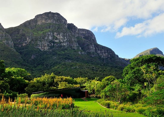 [Image: kirstenbosch.jpg]