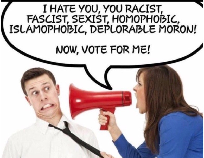 [Image: Dem-vote-appeal.jpg]