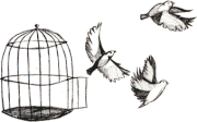 Neçə dəfə yağış yağdı Biz heç birində birlikdə islanmadıq
