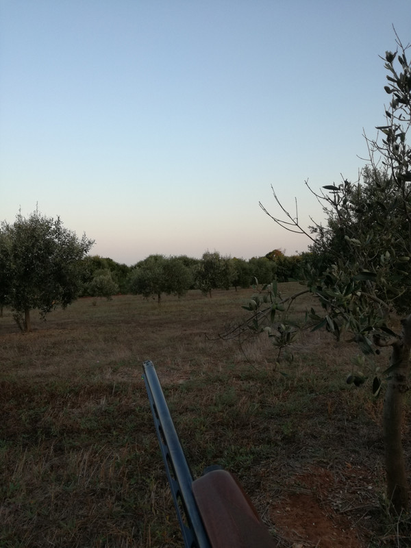 IMG_20180903_073549.jpg
